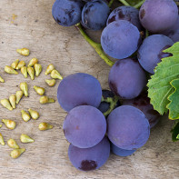 Photo de raisins 4