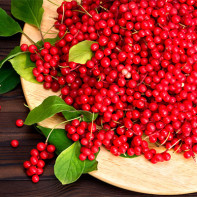 Foto von Schisandra 5