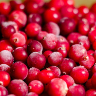 Cranberry-Foto