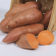 Foto der Süßkartoffel 3