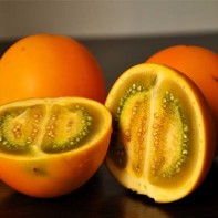 Foto Naranjilla 4