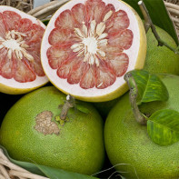 Foto der Pomelo-Frucht 2