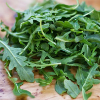 Photo de roquette 3