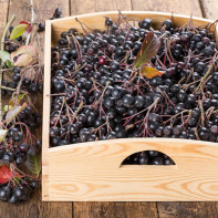 Photo d'aronia 2