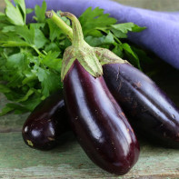 Photos d'aubergines 4