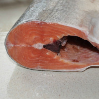 Photo du saumon kéta 3
