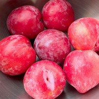 Photo du plumcot