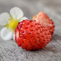 Photo de fraises des bois 2