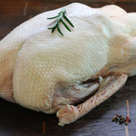 Foto von Gänsefleisch
