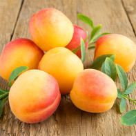 Photo d'abricots 5
