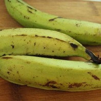 Photo du plantain 4
