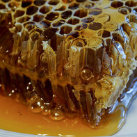 Photo de miel en rayons 2