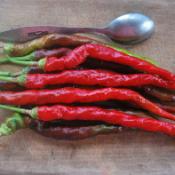 Photo de piment de Cayenne 5