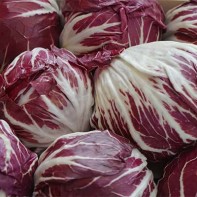 Photo de radicchio 4
