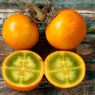Foto Naranjilla