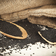 Photo du cumin noir 2
