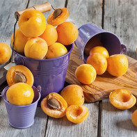 Photo d'abricots 2
