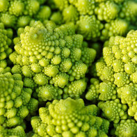Photo de chou romanesco