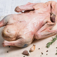 Foto von Gänsefleisch 3