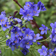 Foto der Blauen Himmelsleiter 3