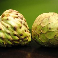 Photo du fruit chérimoya 5