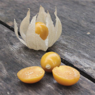 Photo de physalis