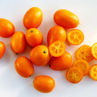 Photo de kumquat 5