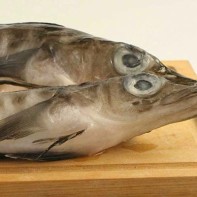 Ledjanka 2