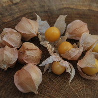 Photo de physalis 3