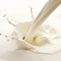 Photo de lait 4