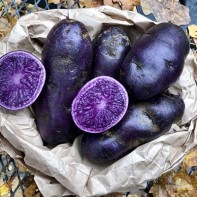Photo de pommes de terre violettes 2