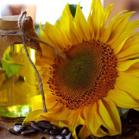Foto des Sonnenblumenöls 2