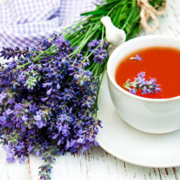 Foto von Lavendel 5