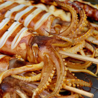 Photo de calamars 4
