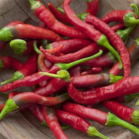 Photo de piment rouge fort 4