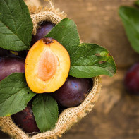 Photo de prunes 5