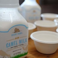 Foto von Kamelmilch 4