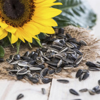 Foto von Sonnenblumenkernen