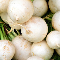 Photo de radis blanc 4