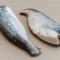 Photo du pangasius 4