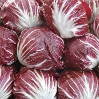 Photo de radicchio