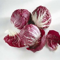 Photo de radicchio 5