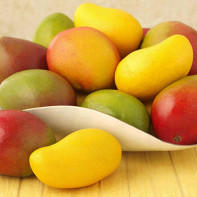 Photo de mangue 5