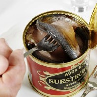 Surströmming-Foto 4