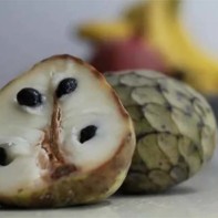 Photo du fruit chérimoya 4