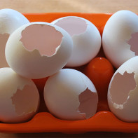 Photo de coquille d'œuf 5
