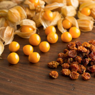Photo de physalis 5