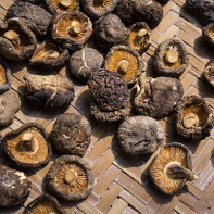 Foto von Shiitake-Pilzen 3