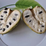 Photo du fruit chérimoya