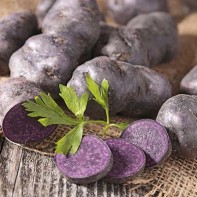 Photo de pommes de terre violettes 4